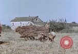 Image Army Camp Corse France, 1944, de la seconde 12 séquences d'archives historiques vidéo 65675070020