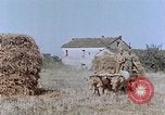 Image Army Camp Corse France, 1944, de la seconde 15 séquences d'archives historiques vidéo 65675070020