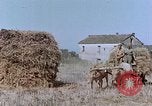 Image Army Camp Corse France, 1944, de la seconde 17 séquences d'archives historiques vidéo 65675070020