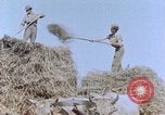 Image Army Camp Corse France, 1944, de la seconde 19 séquences d'archives historiques vidéo 65675070020