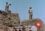 Image Army Camp Corse France, 1944, de la seconde 20 séquences d'archives historiques vidéo 65675070020