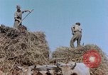 Image Army Camp Corse France, 1944, de la seconde 21 séquences d'archives historiques vidéo 65675070020