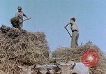 Image Army Camp Corse France, 1944, de la seconde 22 séquences d'archives historiques vidéo 65675070020
