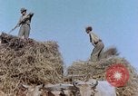 Image Army Camp Corse France, 1944, de la seconde 23 séquences d'archives historiques vidéo 65675070020