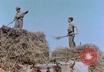 Image Army Camp Corse France, 1944, de la seconde 24 séquences d'archives historiques vidéo 65675070020