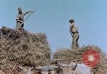 Image Army Camp Corse France, 1944, de la seconde 25 séquences d'archives historiques vidéo 65675070020