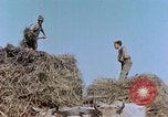 Image Army Camp Corse France, 1944, de la seconde 26 séquences d'archives historiques vidéo 65675070020