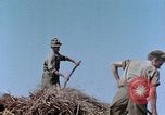 Image Army Camp Corse France, 1944, de la seconde 28 séquences d'archives historiques vidéo 65675070020