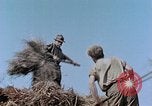 Image Army Camp Corse France, 1944, de la seconde 29 séquences d'archives historiques vidéo 65675070020