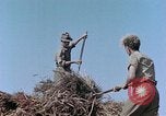 Image Army Camp Corse France, 1944, de la seconde 31 séquences d'archives historiques vidéo 65675070020