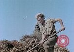 Image Army Camp Corse France, 1944, de la seconde 33 séquences d'archives historiques vidéo 65675070020