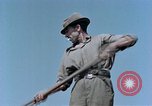 Image Army Camp Corse France, 1944, de la seconde 34 séquences d'archives historiques vidéo 65675070020