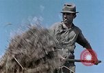 Image Army Camp Corse France, 1944, de la seconde 37 séquences d'archives historiques vidéo 65675070020