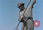 Image Army Camp Corse France, 1944, de la seconde 39 séquences d'archives historiques vidéo 65675070020