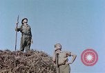 Image Army Camp Corse France, 1944, de la seconde 42 séquences d'archives historiques vidéo 65675070020