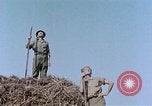 Image Army Camp Corse France, 1944, de la seconde 43 séquences d'archives historiques vidéo 65675070020