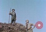 Image Army Camp Corse France, 1944, de la seconde 44 séquences d'archives historiques vidéo 65675070020