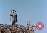 Image Army Camp Corse France, 1944, de la seconde 45 séquences d'archives historiques vidéo 65675070020