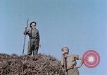 Image Army Camp Corse France, 1944, de la seconde 46 séquences d'archives historiques vidéo 65675070020