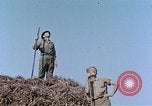 Image Army Camp Corse France, 1944, de la seconde 47 séquences d'archives historiques vidéo 65675070020