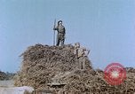 Image Army Camp Corse France, 1944, de la seconde 51 séquences d'archives historiques vidéo 65675070020