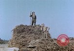 Image Army Camp Corse France, 1944, de la seconde 52 séquences d'archives historiques vidéo 65675070020