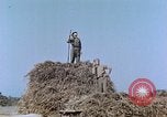 Image Army Camp Corse France, 1944, de la seconde 54 séquences d'archives historiques vidéo 65675070020