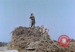 Image Army Camp Corse France, 1944, de la seconde 55 séquences d'archives historiques vidéo 65675070020