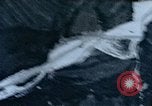 Image of Battle of France France, 1944, second 24 stock footage video 65675070026