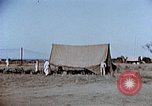 Image of religious services Corsica France, 1944, second 15 stock footage video 65675070028
