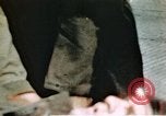 Image of Wounded air crewmen of 351st Bomb Group Polebrook Northamptonshire England United Kingdom, 1943, second 37 stock footage video 65675070029