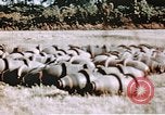 Standbild US 351 Bombe Gruppe Vorbereitung auf die Sendung über Deutschland England, 1943, aus Sekunde 48 historischem Filmmaterial Videoclip 65675070035