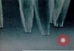 Immagine di B-17 Flying Fortress sotto attacco da combattenti tedesche e Flak Germania, 1943, secondo 27 filmato di repertorio 65675070037