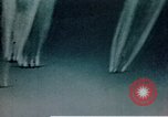 Immagine di B-17 Flying Fortress sotto attacco da combattenti tedesche e Flak Germania, 1943, secondo 28 filmato di repertorio 65675070037
