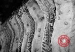 Image of Quartermaster Corps United States USA, 1943, second 26 stock footage video 65675070040