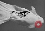 Image of Quartermaster Corps United States USA, 1943, second 42 stock footage video 65675070040