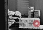 Image of Quartermaster Corps United States USA, 1943, second 42 stock footage video 65675070041