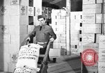 Image of Quartermaster Corps United States USA, 1943, second 44 stock footage video 65675070042