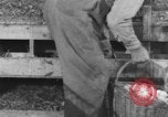 Image of US Army Quartermaster Corps depots United States USA, 1943, second 36 stock footage video 65675070044
