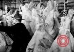 Image of US Army Quartermaster Corps depots United States USA, 1943, second 37 stock footage video 65675070044
