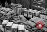 Image of US Army Quartermaster Corps depots United States USA, 1943, second 40 stock footage video 65675070044