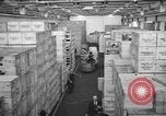 Immagine di Quartermaster Corps alimentazione oltremare United States USA, 1943, secondo 19 filmato di repertorio 65675070050