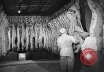 Image Quartermaster Corps s'approvisionner à l'étranger United States USA, 1943, de la seconde 50 séquences d'archives historiques vidéo 65675070051