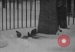 Image of snow storm Buffalo New York USA, 1939, second 21 stock footage video 65675070055