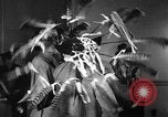 Image of scarecrow contest Trenton New Jersey USA, 1939, second 34 stock footage video 65675070059