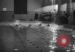 Image of duck racing Seattle Washington USA, 1939, second 35 stock footage video 65675070060