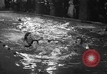 Image of duck racing Seattle Washington USA, 1939, second 43 stock footage video 65675070060