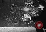 Image of duck racing Seattle Washington USA, 1939, second 45 stock footage video 65675070060