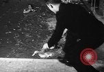Image of duck racing Seattle Washington USA, 1939, second 46 stock footage video 65675070060