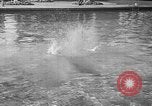 Image of Olympic diving coaching Santa Barbara California USA, 1939, second 29 stock footage video 65675070061